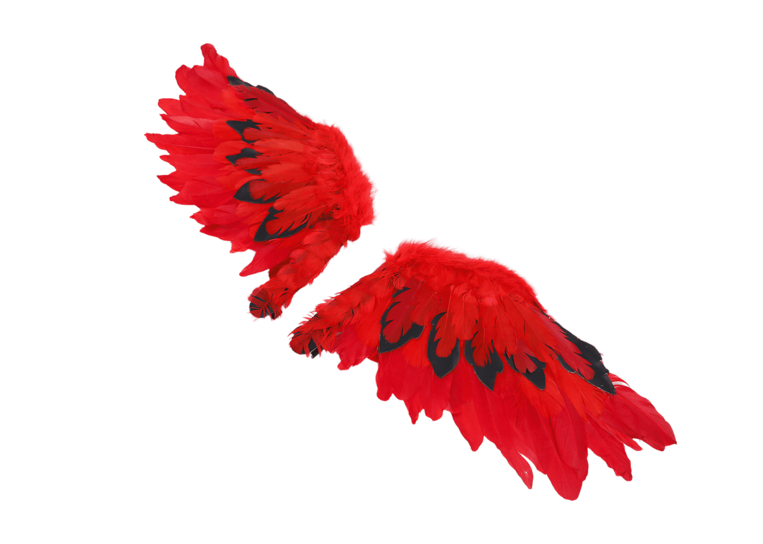 ANGEL wings Red