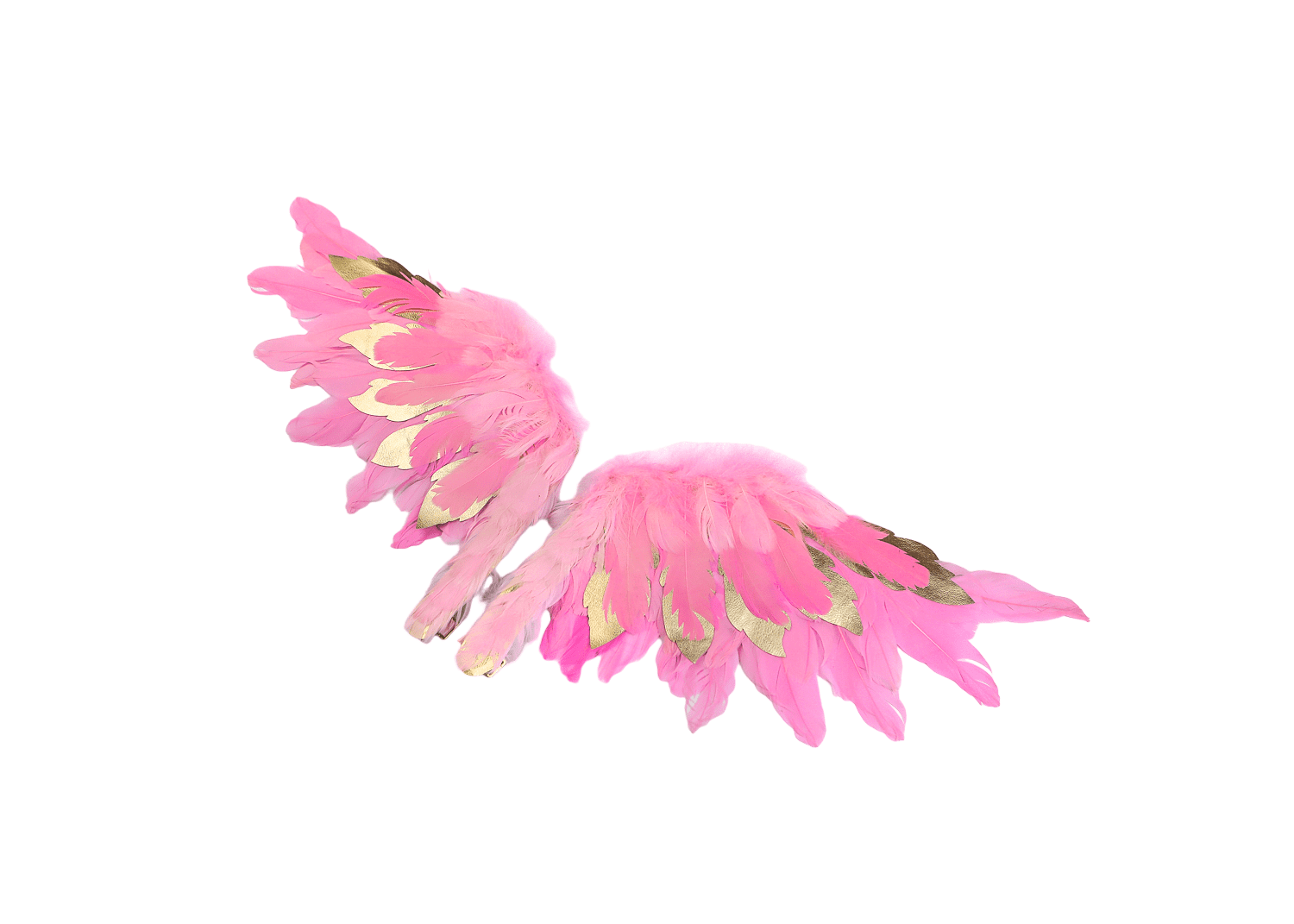 ANGEL wings Pink
