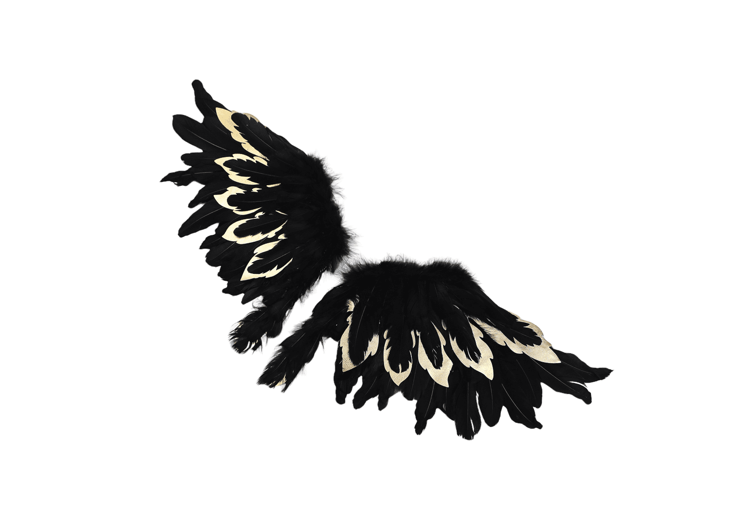 ANGEL wings Black