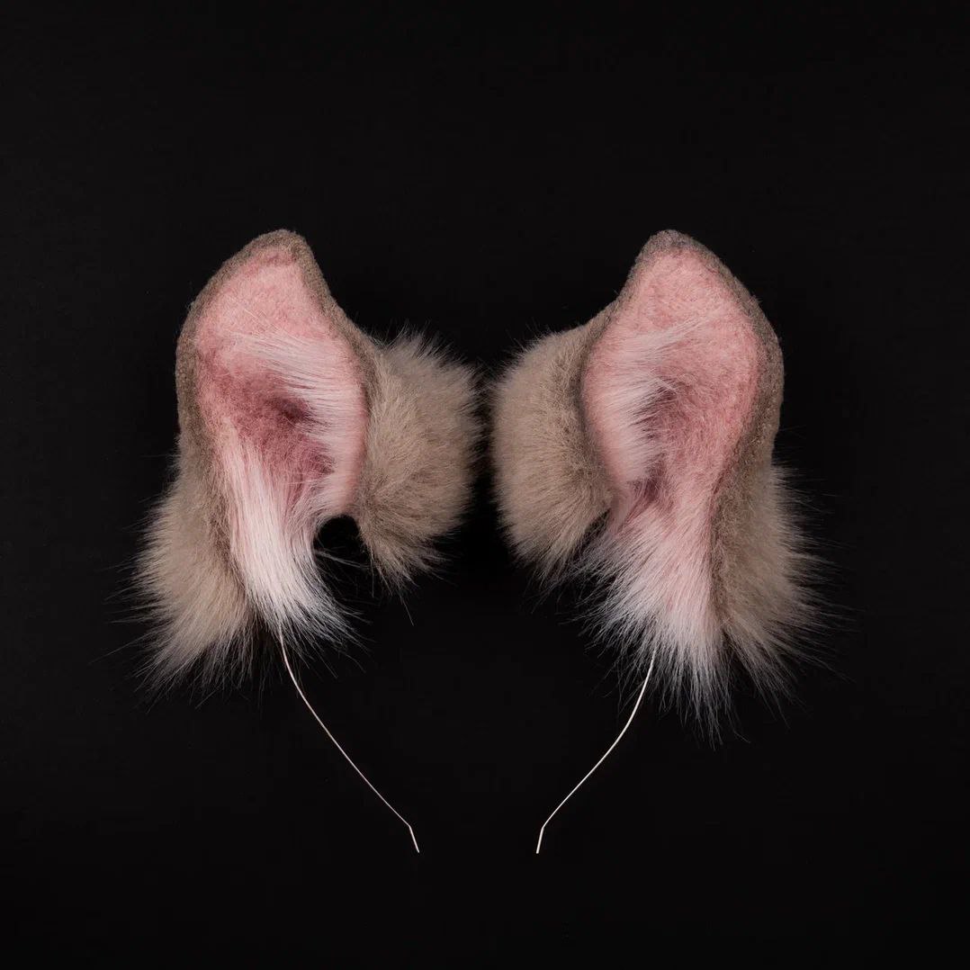 FAWN ears