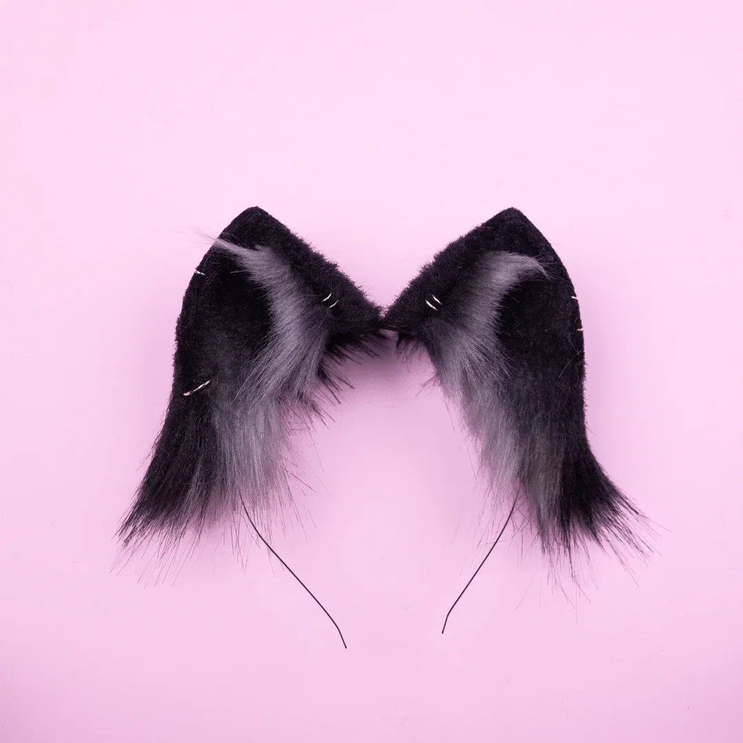 BLACK KITTEN ears