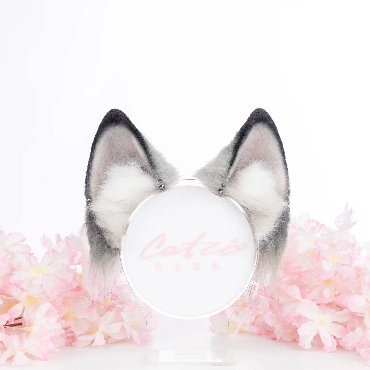SILVER FOX ears